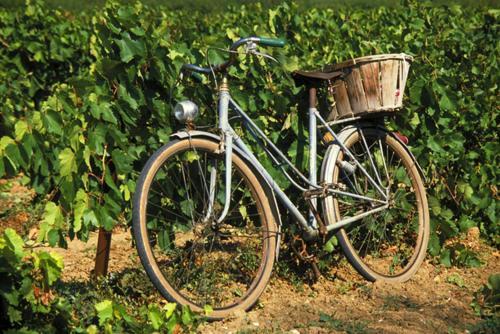 La Maison Grenadine Pres Du Canal Du Midi Tourouzelle 外观 照片
